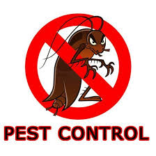 Hiring Professional Pest Control Service Advantages