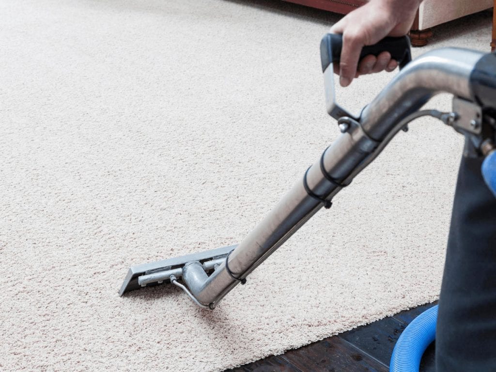 Is Fur Carpet Cleaning Really Necessary?