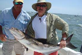 Gulf of Mexico Charter Boat Fishing Trips