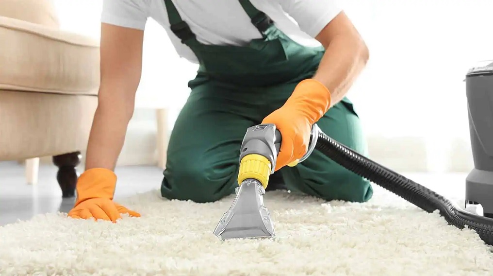 The Ultimate Manual for Banishing Pet Urine Stains – Courtesy of Carpet Cleaning Cammeray