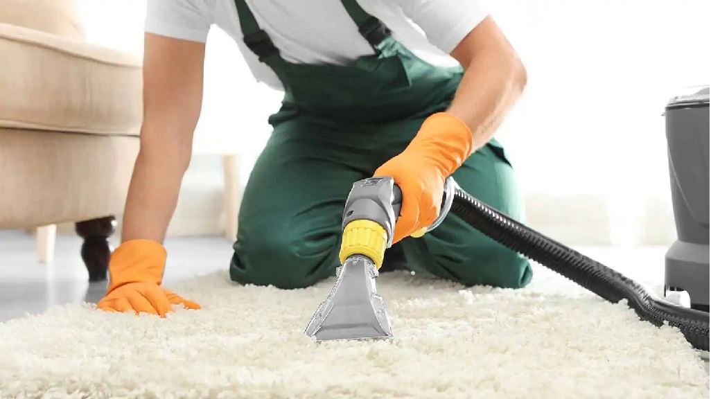 Top Carpet Stains and How to Remove Them Like a Pro