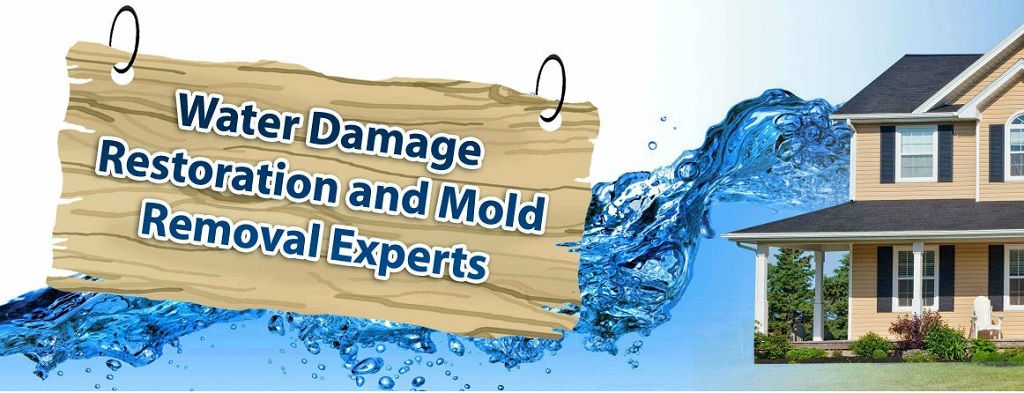 Why You Should Leave Water Damage to the Pros: A Deep Dive into Professional Restoration Services